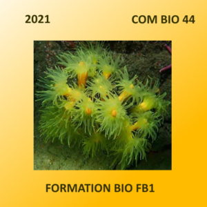 Formations Bio 2021 en 44