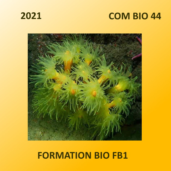 Formation Bio FB1 en 44