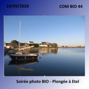Soirée photo bio - Plongée à Etel. 24 septembre 2020. Com Bio 44