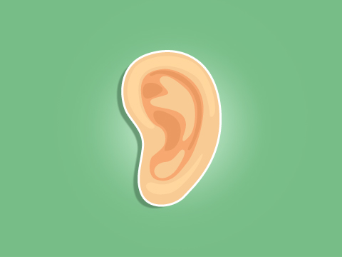 11 N4 L’oreille