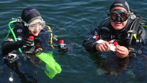 Plongées bio CoDep/CPIE au lac bleu, Chalonnes sur Loire, le 20 juin 2021 @ Lac Bleu | Chalonnes-sur-Loire | Pays de la Loire | France