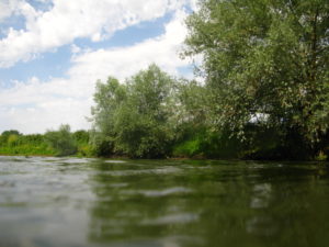 Descente de l'Oudon avec support le 29 août 2021 @ quai d'Anjou Lion d'Angers | Le Lion-d'Angers | Pays de la Loire | France
