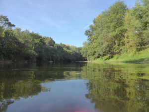 NAGE AVEC PALMES : la SARTHE, avec et sans support le 17 juillet 2022 @ Brissarthe