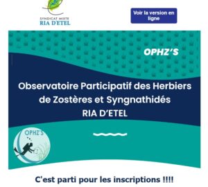 Contribuer à l'Observatoire Participatif des Herbiers de Zostères et de Syngnathidés en ria d'Etel @ CNRE | Étel | Bretagne | France